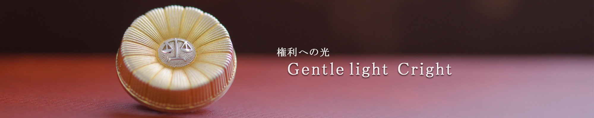 権利への光　Gentle lihght Cright